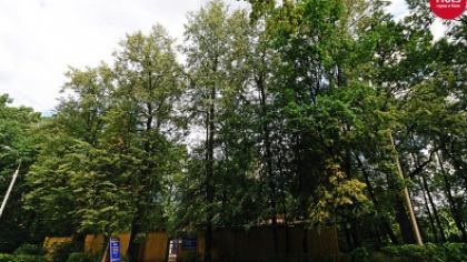 Сауна в парке ВВЦ (Москва) - цены, телефон и адрес, отзывы и фото - Сауны и Бани - zauna.ru